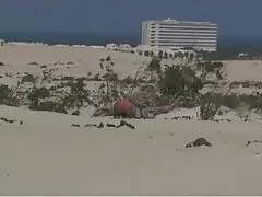 フルゴールド強力キャロル エッチ 動画 女の子 用