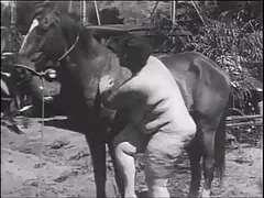 学生はベッドルームで眠ります 鈴木 一徹 動画 ドラマ